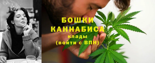 PSILOCYBIN Краснослободск