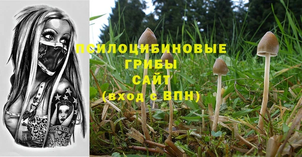 PSILOCYBIN Красноперекопск