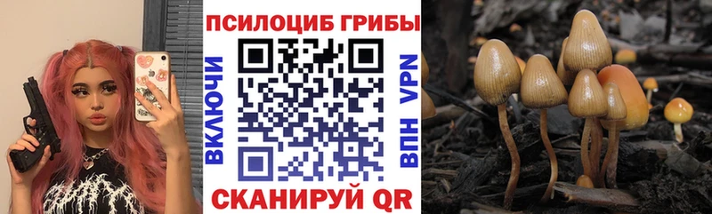 Купить где Большой Камень Галлюциногенные грибы прущие грибы